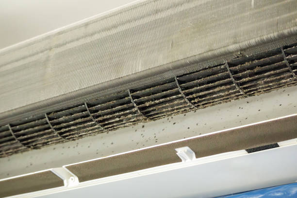 Best Air Duct Cleaning Near Me  in Lynchburg, MS